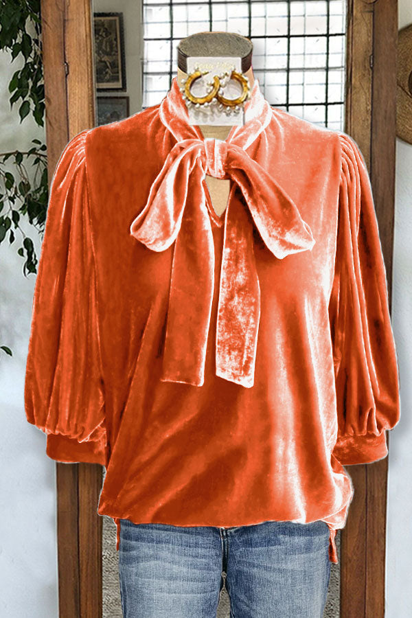 Velvet Puff Sleeves Knotted Neckline Top